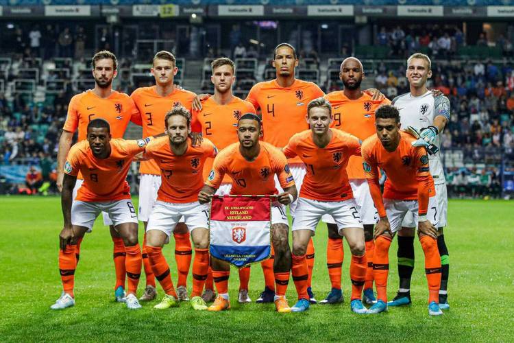 本届欧洲杯荷兰队队照（本届欧洲杯荷兰如何）