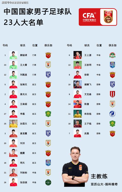 欧洲杯中国球员数据库（欧洲杯中国球员名单）
